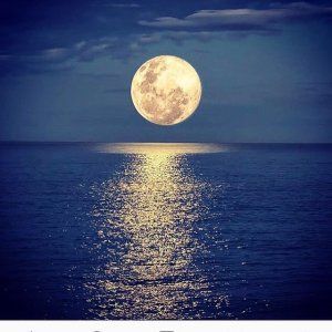 Atelier Voix ...Sous la Pleine Lune... 