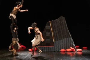L'apprentie compagnie / Caroline Obin - Homo Sapiens