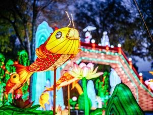 6e Festival des Lanternes