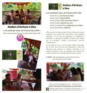 Longtemps, les arbres • Atelier d'écriture