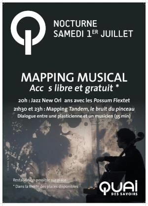 Nocturne : Mapping artistique et sonore