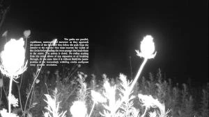 Et j'ai vu le bout du pays où les nuages sont infinis* – Volet I : Éprouver le territoire