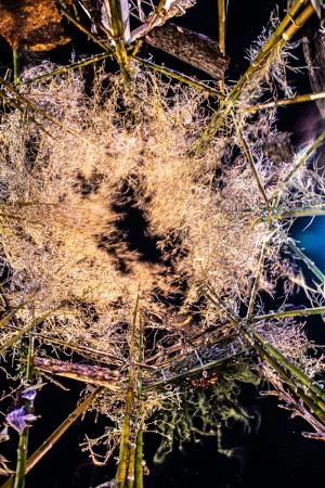 ACCES LIBRE - Carte blanche à LA GRANDe GARABAGNe