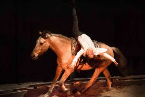 Toustes VIP - Cie EquiNote