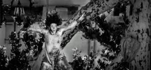 Spectacle "Racines" - Attraction Cie