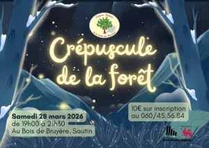 Le crépuscule de la forêt - Balade guidée