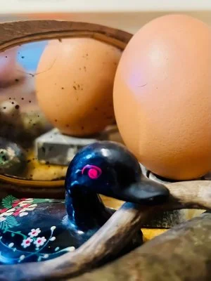 Semaine de la marionnette et des formes animées avec la cie Matiloun