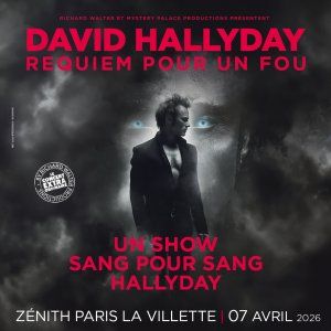 David Hallyday, Requiem pour un fou
