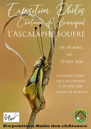 Châteaux de Bruniquel : l'ascalaphe soufré ; exposition photos et conférence débat 