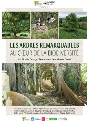 Les arbres remarquables au coeur de la biodiversité | Projection-rencontre