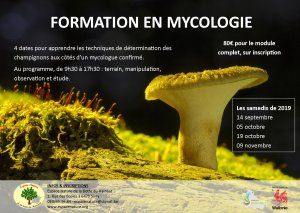Formation en mycologie