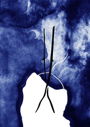 Atelier-rencontre avec Lise Bardou