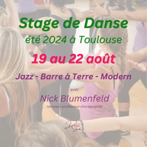 Stage de Danse d'Eté avec Nick Blumenfeld