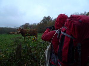 FRANCE PROFONDE / LA GROSSE SITUATION