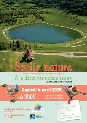 Sortie nature à la découverte des oiseaux