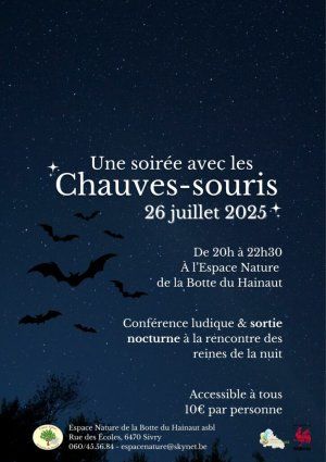 Une soirée avec les chauves-souris