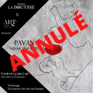 Le Domaine La Bouysse et Art Conseil Invest présentent PAVAN "Autour d'un verre"