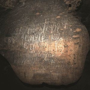 'VESPRÉE' - Célie FALIÈRES