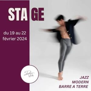 Stage danse vacances d'hiver avec Nick Blumenfeld