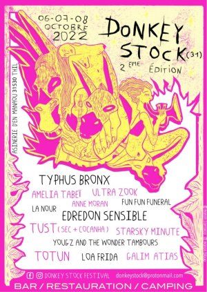 Festival Donkey Stock