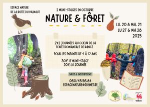 Minis-stages d'automne 2025 : Nature & Forêt