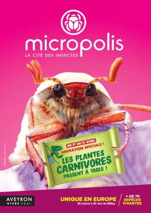 LES PLANTES CARNIVORES PASSENT A TABLE !