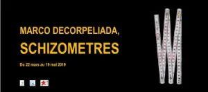 Marco decorpeliada, Schizomètres
