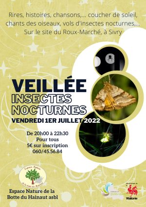 Veillée à la rencontre des insectes nocturnes 