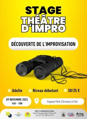 Stage découverte : Théâtre d'Improvisation