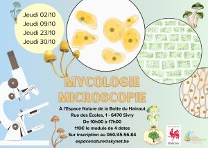 Mycologie : formation microscopie 2025
