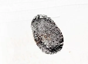 [Espace Roguet] L'empreinte de l'ange - Compagnie Samuel Mathieu