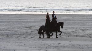 Entre chiens et loups