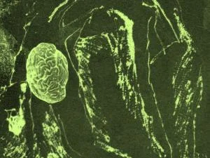 Ouverture sur résidence | Les jours qui brûlent