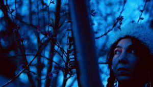 Conte de la Taïga Cie Brigand