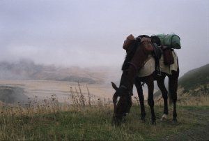 Jeune Photographie - Occitanie 2022
