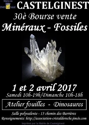 30è bourse vente minéraux et fossiles à Castelginest