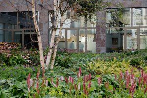 Conférences d'automne 