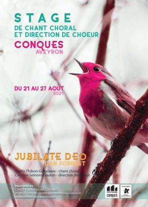 Stage de chant choral et direction de choeur