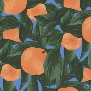 Le café lui sert de départ