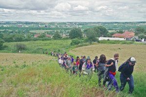 AVANT, LA FORÊT - Version audio • Toiles Cirées
