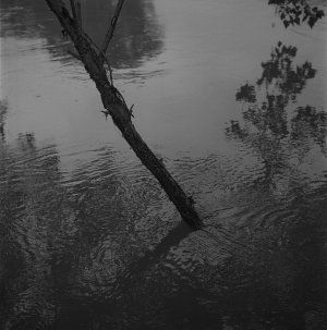 Exposition « Résidence 1+2 et Invité.e.s » 