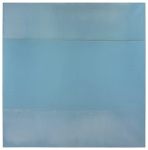 Geneviève Asse, le bleu prend tout ce qui passe