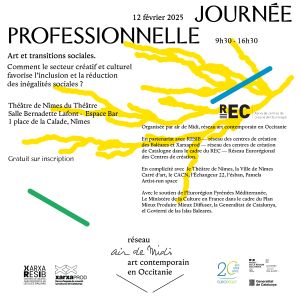 Journée Professionnelle. Art et transitions sociales.