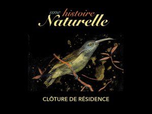 Résidence " Une histoire naturelle " - Clôture de la résidence