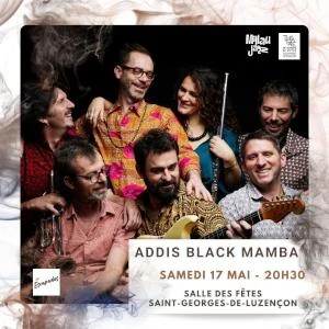 Addis Black Mamba | Heptahedron