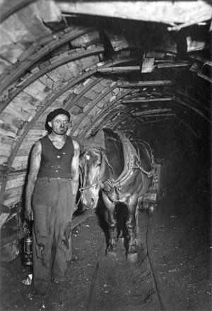 EXPOSITION PHOTOGRAPHIQUE : "Travailler au fond" 