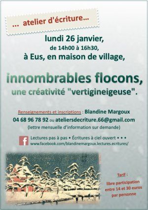 Innombrables flocons, une créativité "vertigineigeuse" • Atelier d'écriture