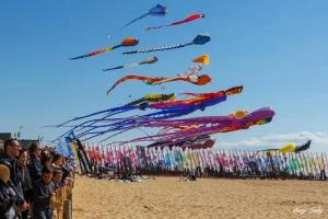Festival international du cerf-volant et du vent de Châtelaillon-Plage 2019