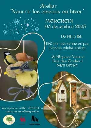 Nourrir les oiseaux en hiver