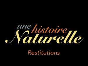 Résidence " Une histoire naturelle " - Restitution des ateliers